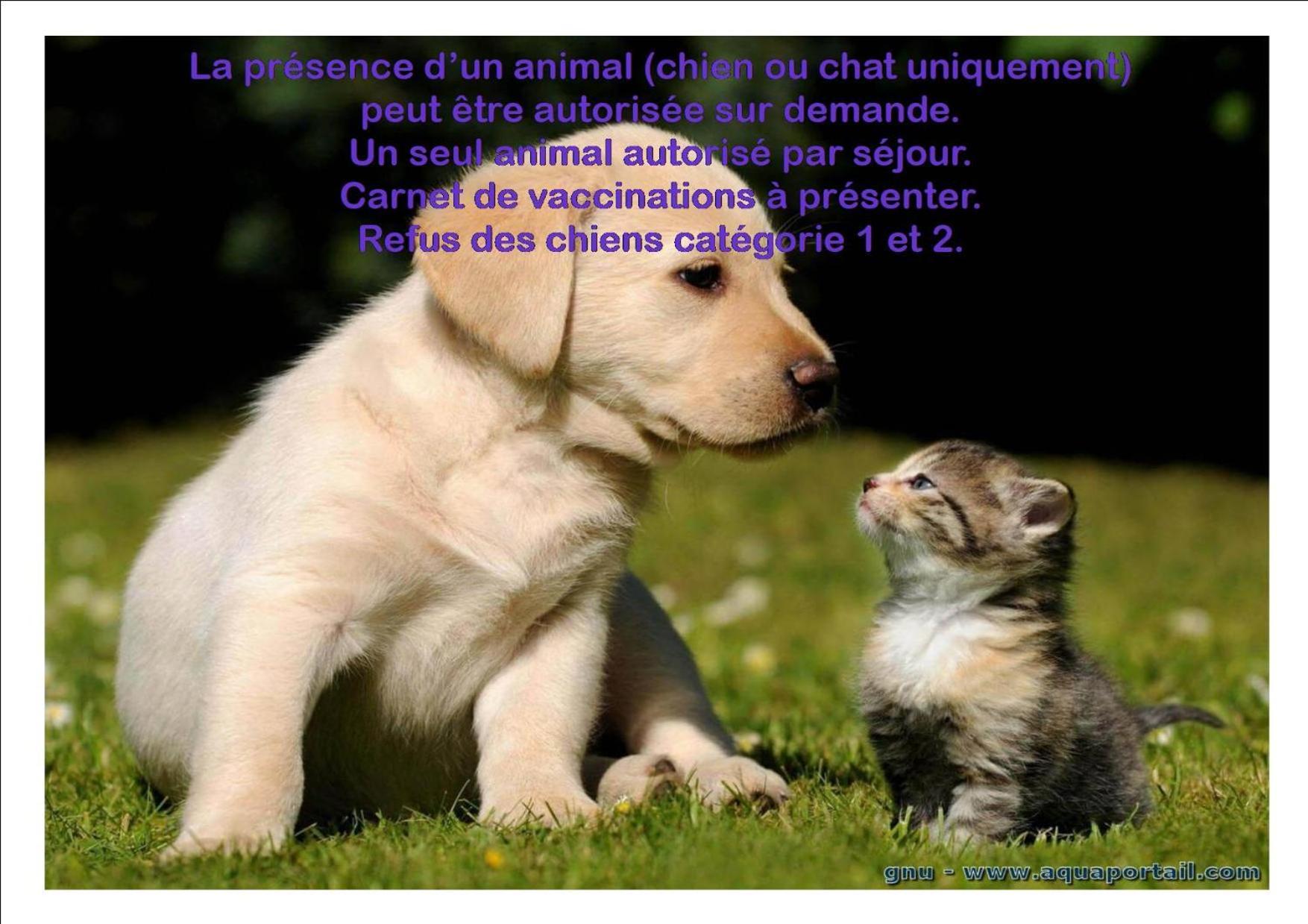 Le Gite Du Frene Poses Exteriör bild